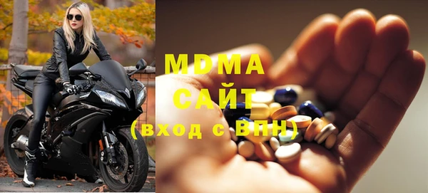 хмурый Пересвет