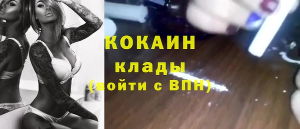 PSILOCYBIN Арсеньев