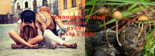 МДМА Алексеевка