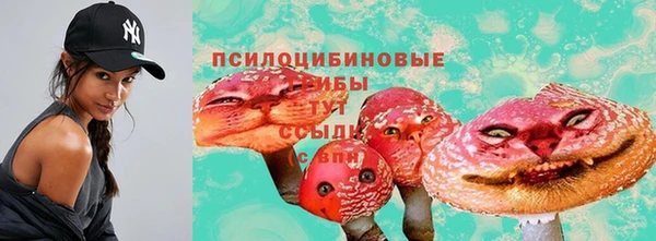 ALPHA PVP Пестово