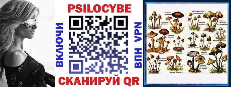 Псилоцибиновые грибы GOLDEN TEACHER  сколько стоит  Верещагино 
